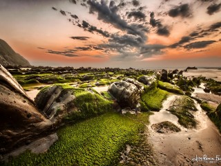 Barrika